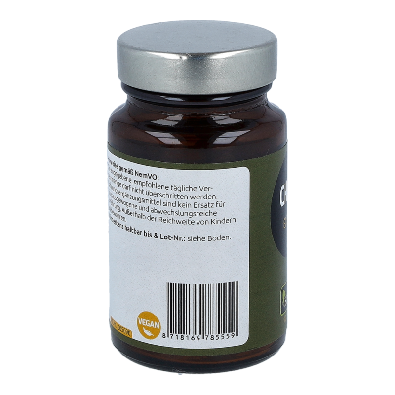Chaga Pilz Extrakt Tabletten 400 mg 90 Stk.