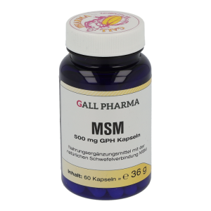 MSM 500mg Kapseln
