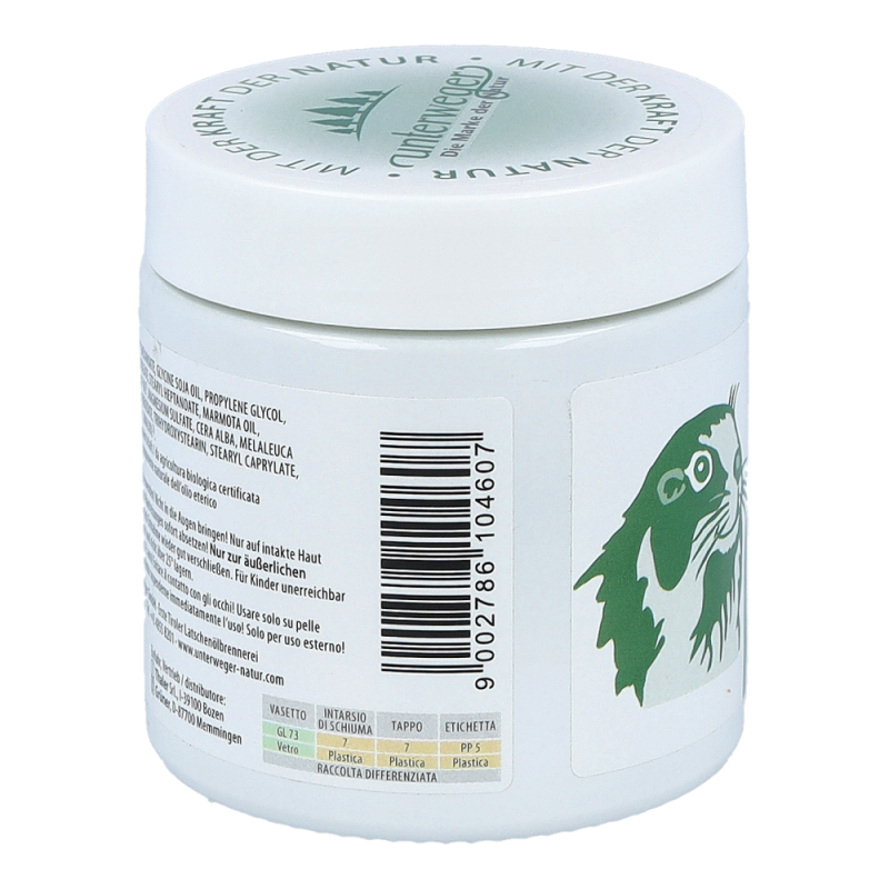 Murmeltier Salbe 100 ml