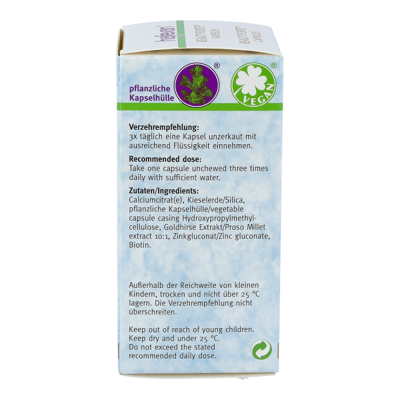 Hafesan Beauty Forte Kapseln 60 Stk.