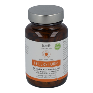Curcuma plus Weihrauch Kapseln 60 Stk.