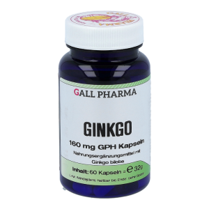 Gingko 160mg Kapseln