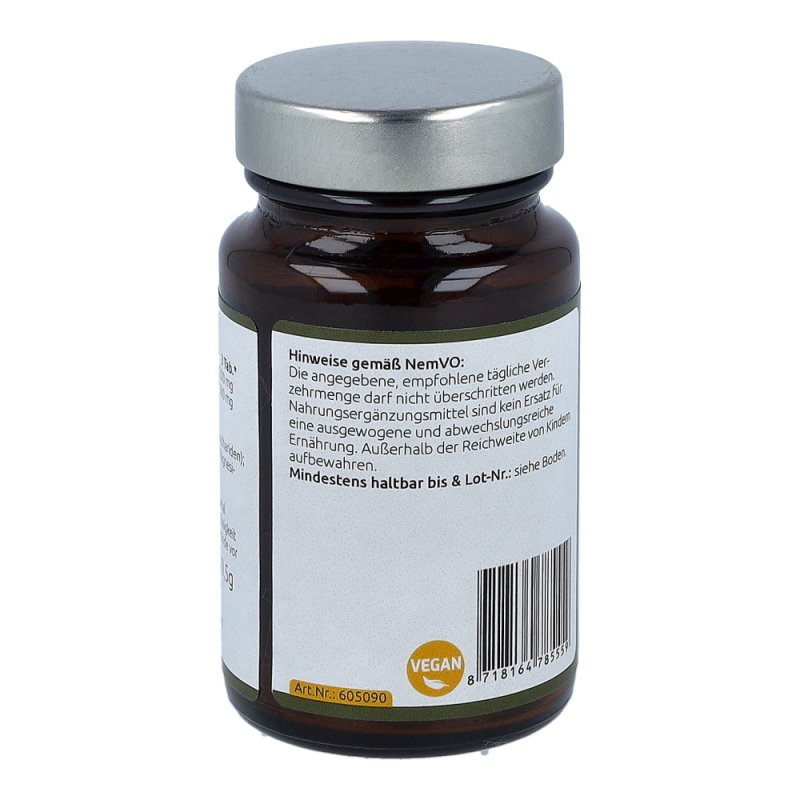 Chaga Pilz Extrakt Tabletten 400 mg 90 Stk.