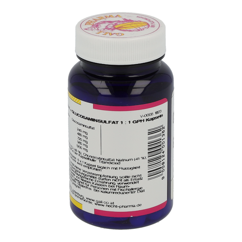 Chondroitinsulfat + Glucosaminsulfat Kapseln