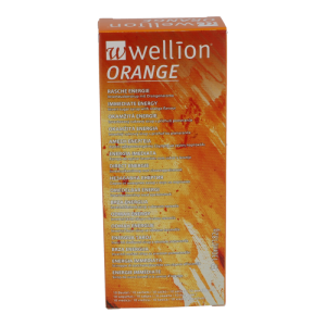 Wellion Invertzucker Sirup 10 Stk. Orange