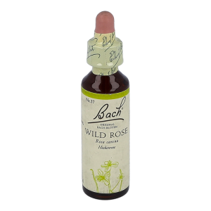 Bachblüte Nr. 37 Wild Rose Tropfen 20 ml