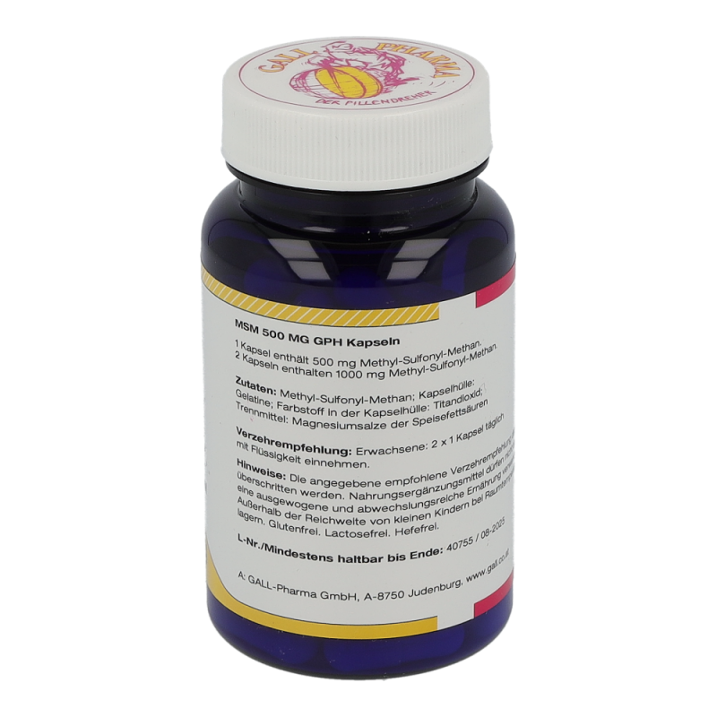 MSM 500mg Kapseln