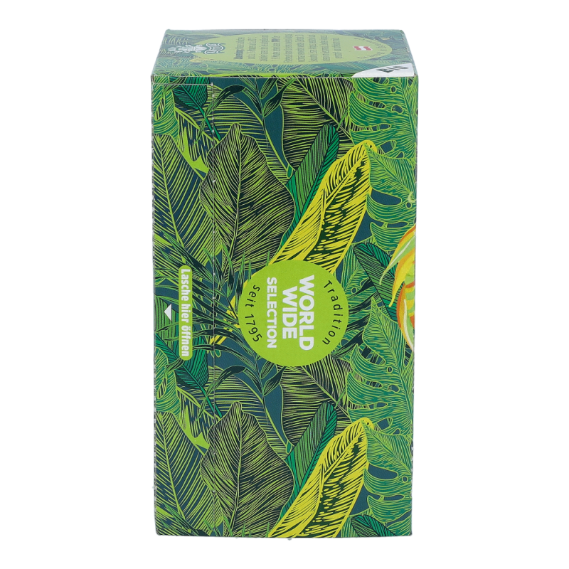 Dr. Kottas Grüntee 20 Stk.