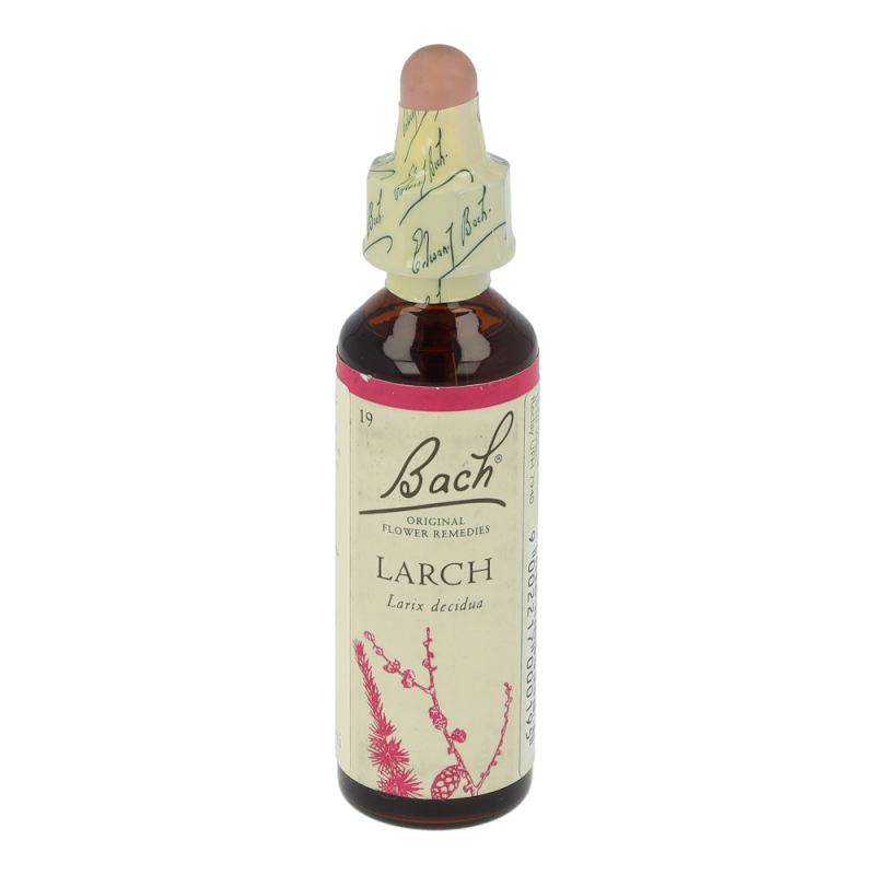 Doskar BACHBLÜTEN 19 Larch