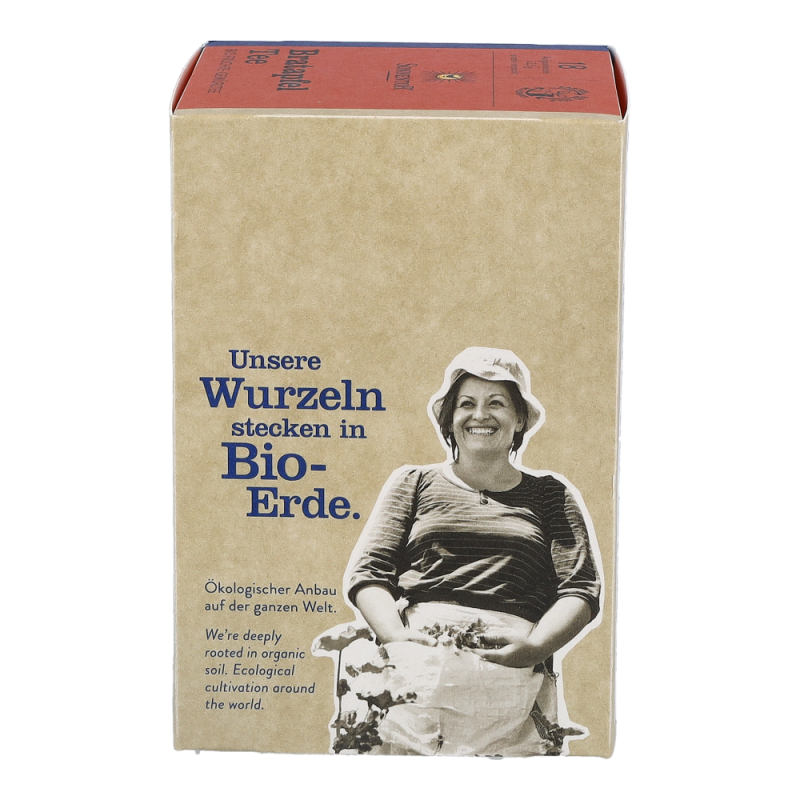 Sonnentor Bio Bratapfel-Tee 18 Btl.