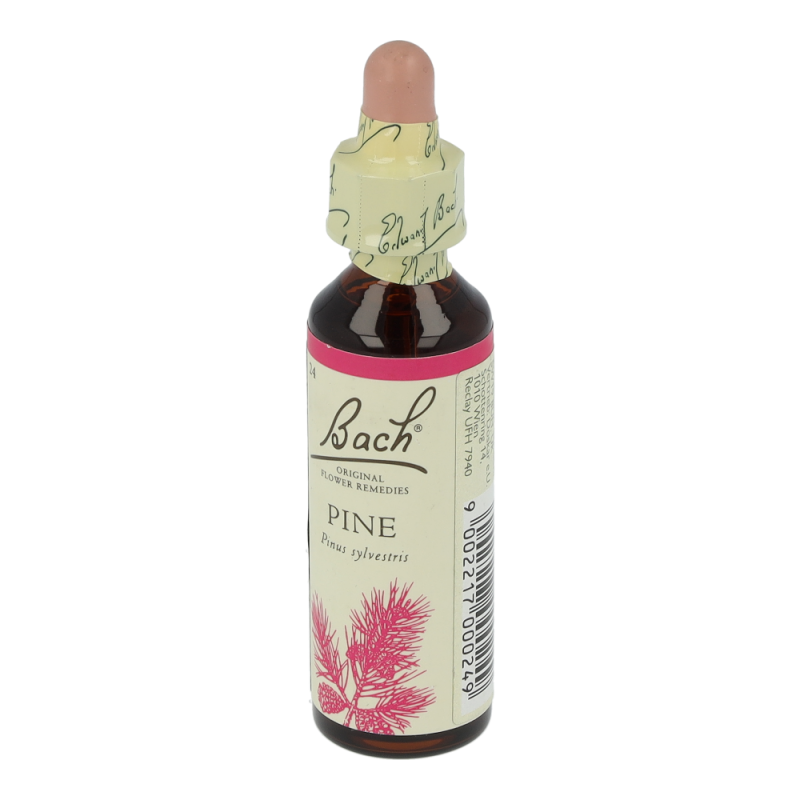 Doskar BACHBLÜTEN 24 Pine