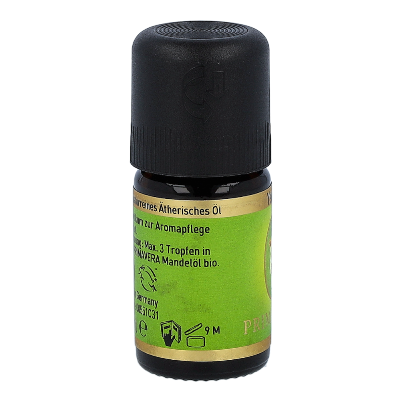 Primavera Ätherisches Öl Ysop 5 ml