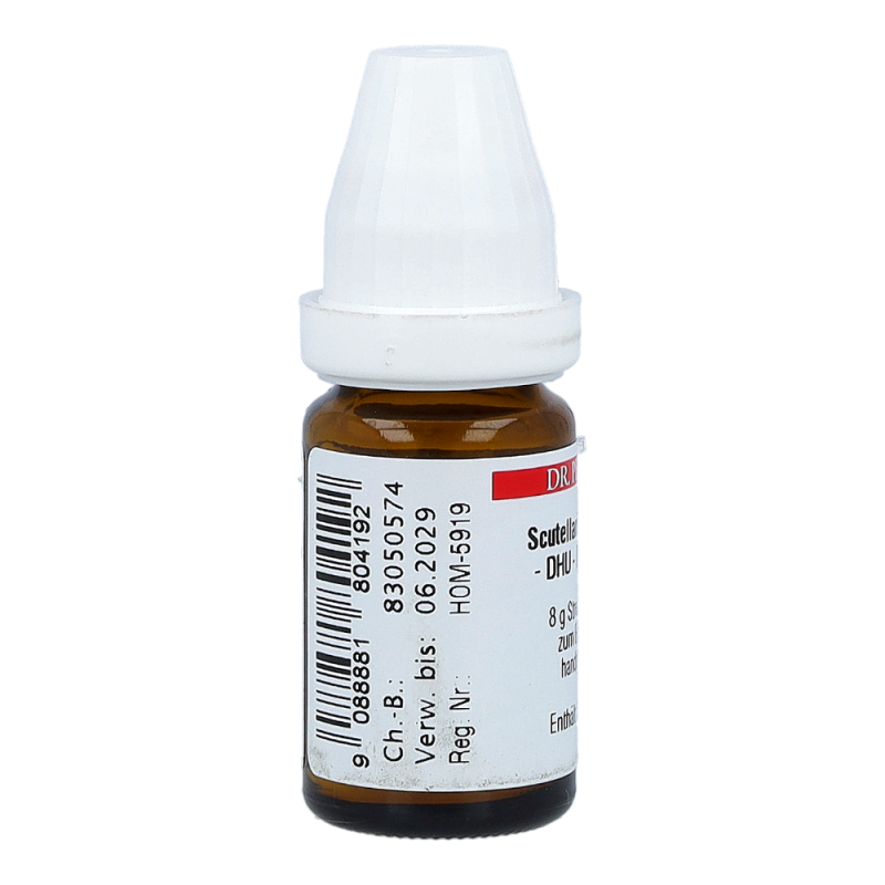 Scutellaria Lateriflora DHU 8 g D 6 Globuli