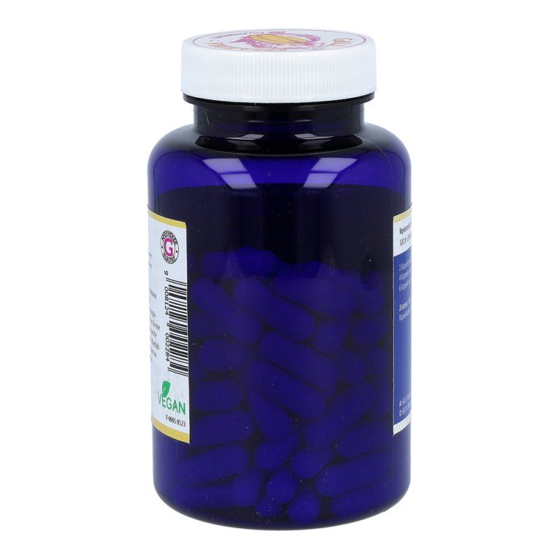 Topinambur P 400mg Kapseln