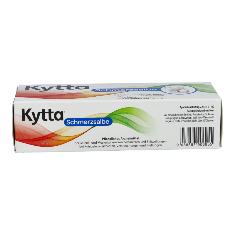 Kytta Schmerzsalbe 100 g