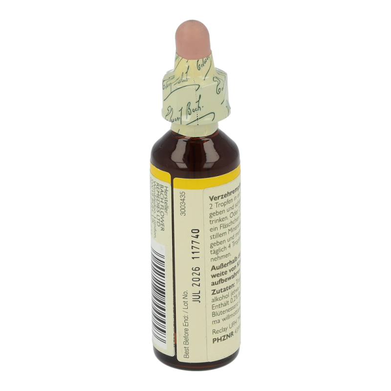 Doskar BACHBLÜTEN 05 Cerato