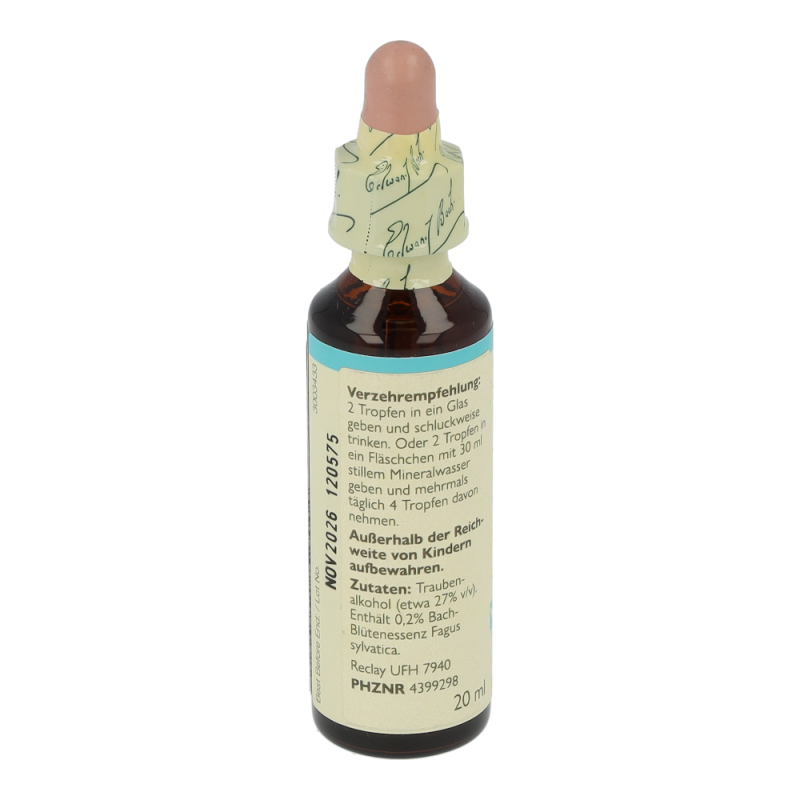 Doskar BACHBLÜTEN 03 Beech