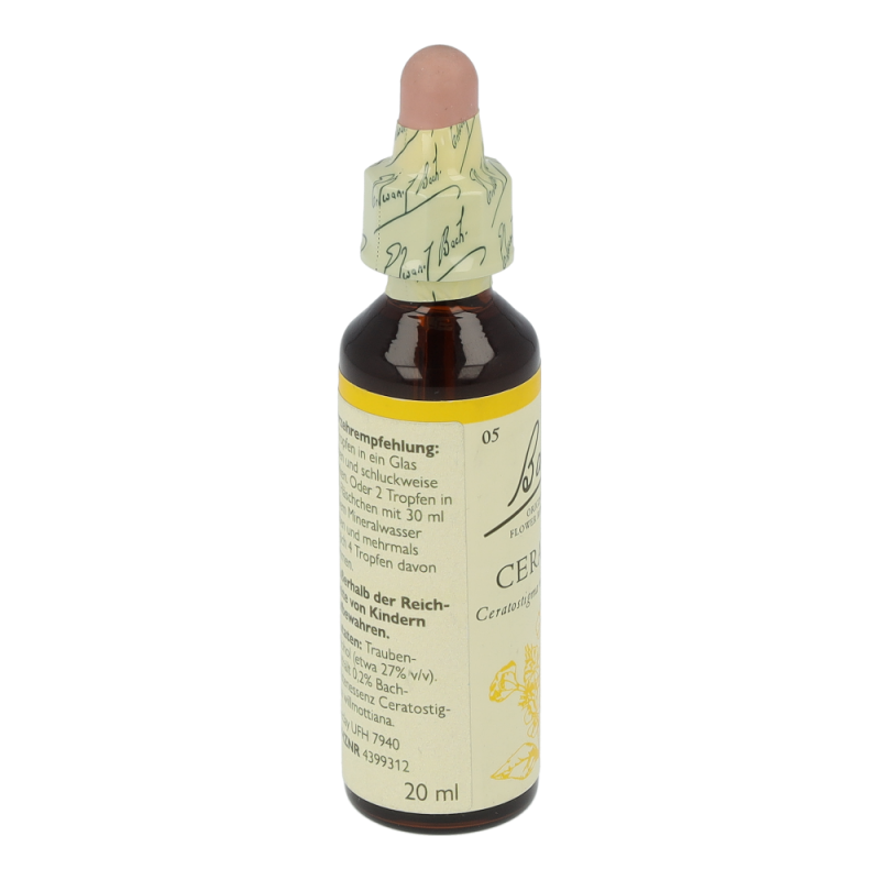 Doskar BACHBLÜTEN 05 Cerato