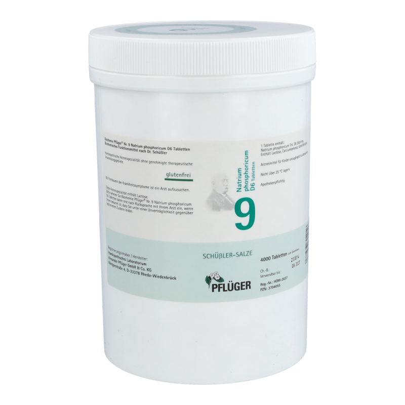 Pflüger Dr. Schüßler Nr. 9 Natrium Phosphoricum 1 kg