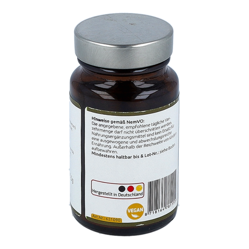 Shiitake Extrakt Tabletten Hanoju