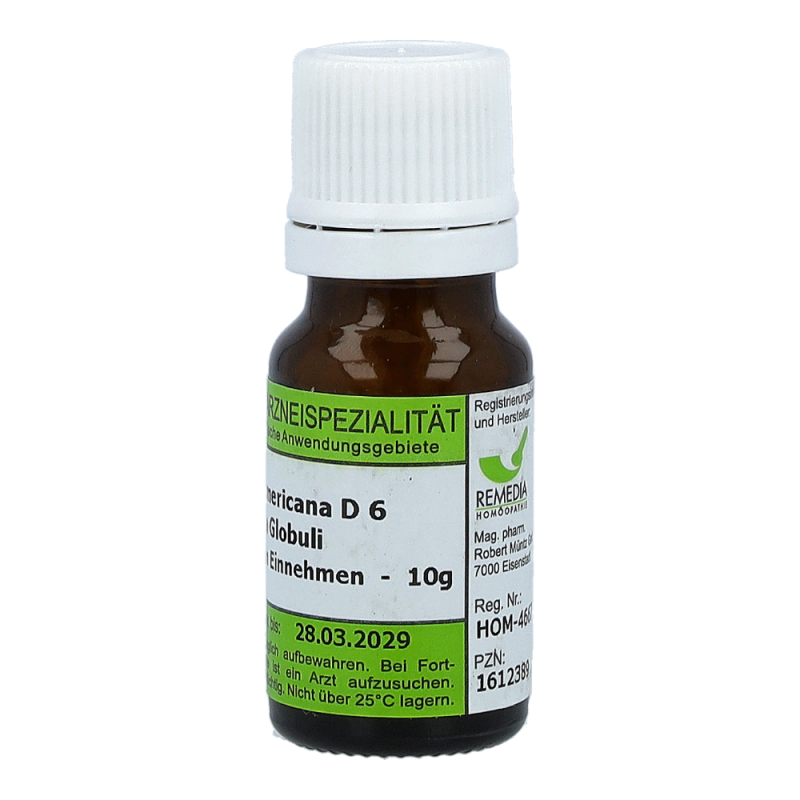 Phytolacca Americana Remedia 10 g D 6 Globuli