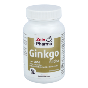 Ginkgo 100 mg Caps 120 Stk.