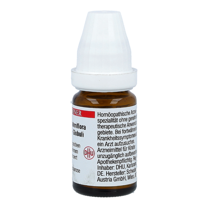 Scutellaria Lateriflora DHU 8 g D 6 Globuli