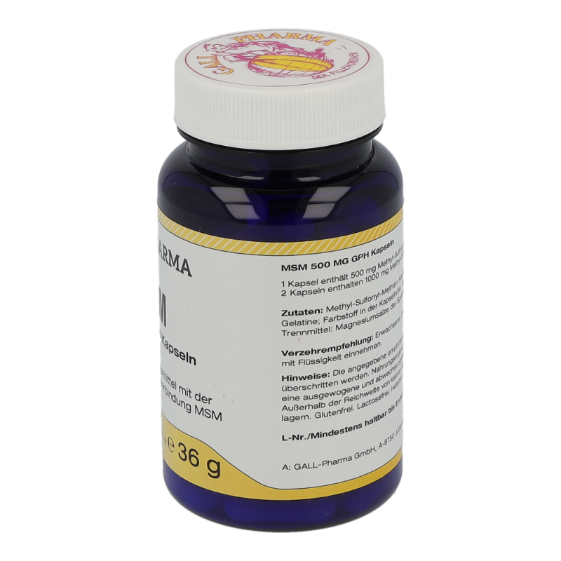 MSM 500mg Kapseln