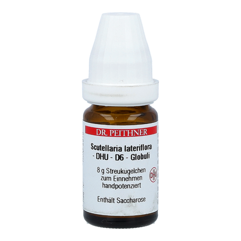 Scutellaria Lateriflora DHU 8 g D 6 Globuli