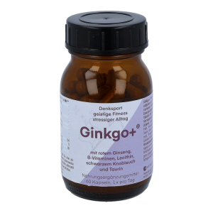 Kozbach Ginkgo Ginseng-Lecithin Kapseln 60 Stk.