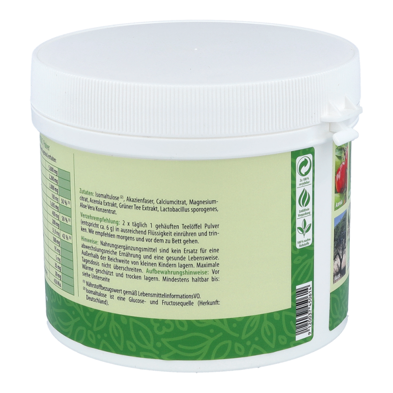 Dr. Ehrenberger Basenpulver classic 360 g