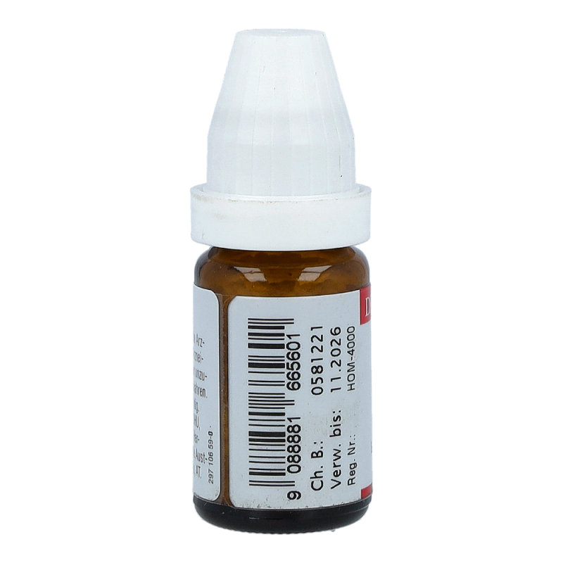 Carbo Vegetabilis DHU 8 g C 30 Globuli