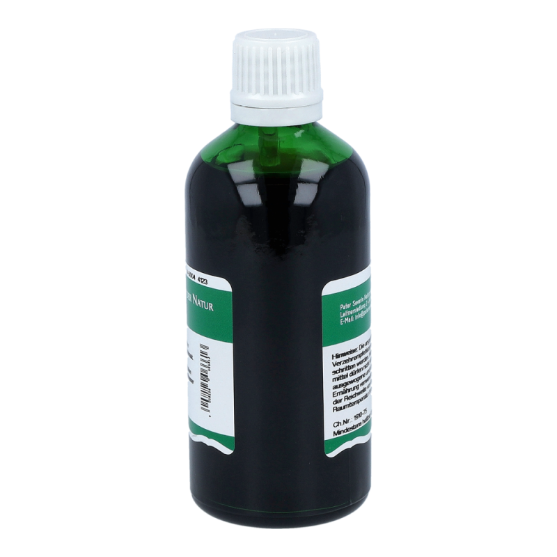 Schachtelhalm Tr 100 ml