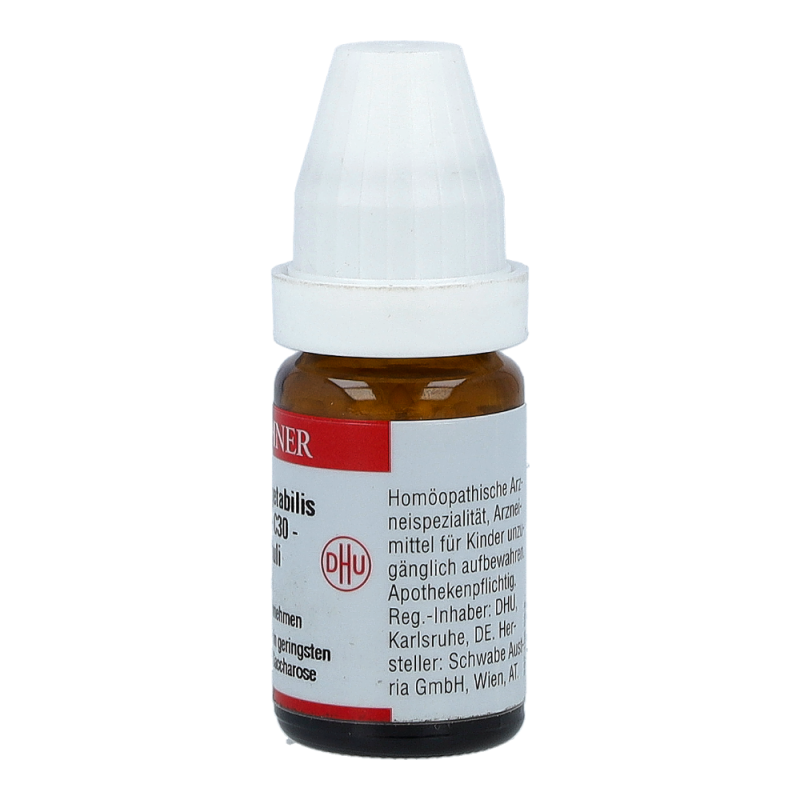 Carbo Vegetabilis DHU 8 g C 30 Globuli