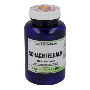 Schachtelhalm Kapseln