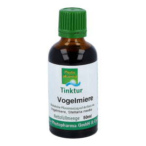 Vogelmiere, Gewöhnliche