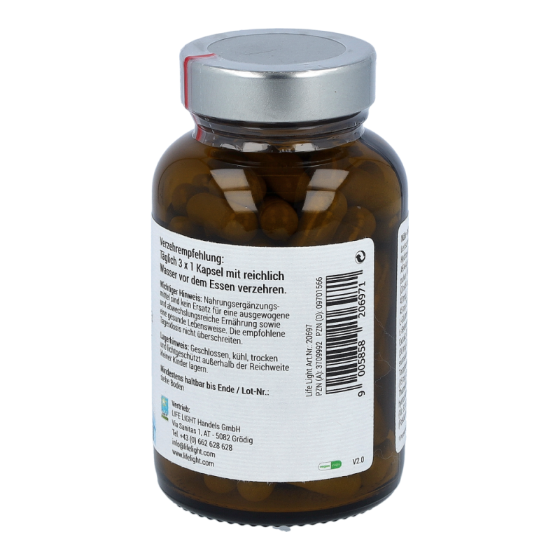 Life Light Kapseln Detox Plus 90 Stk.