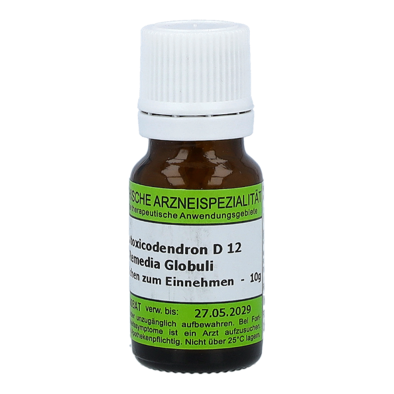 Toxicodendron Quercifolium Remedia 10 g D 12 Globuli