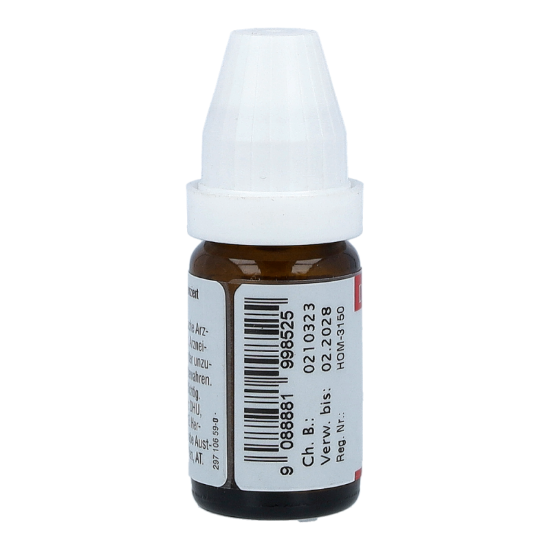 Kreosotum DHU 8 g D 6 Globuli