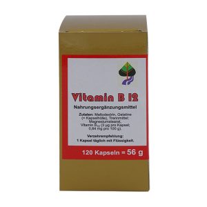 Aalborg Vitamin B 12 Kapseln 120 Stk.