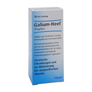 Galium Heel Liquidum Flüssigkeit