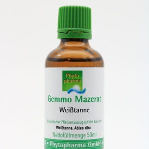 Weißtanne Gemmo Mazerat