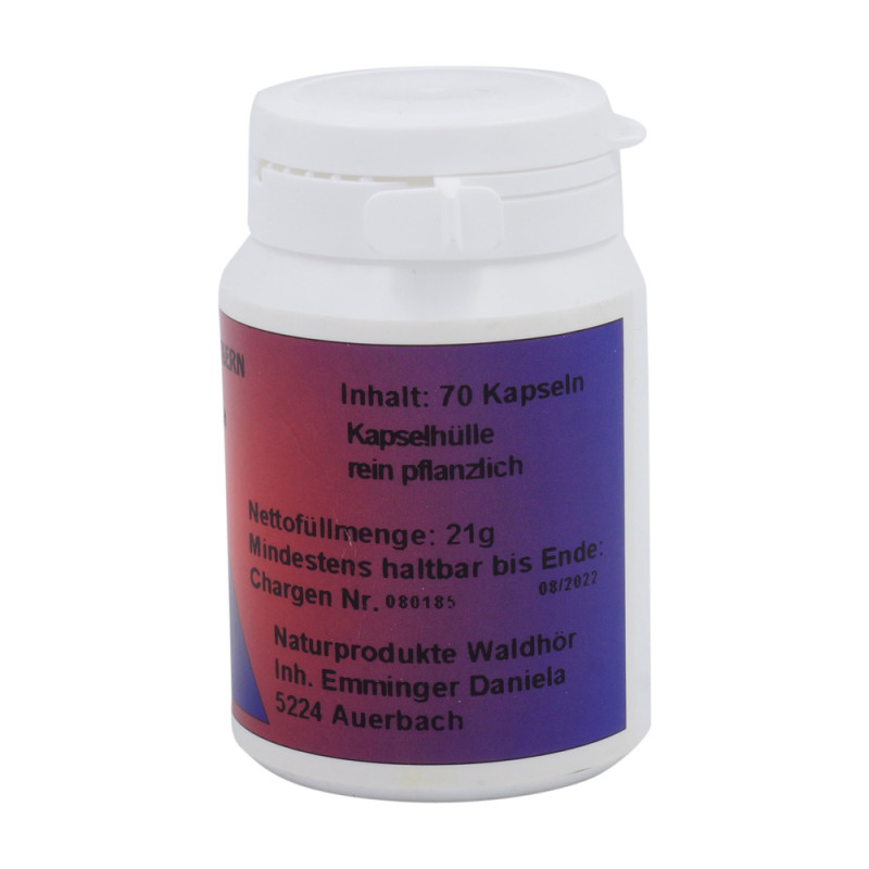 Waldhör Grapefruit Kern Kapseln 70 Stk.