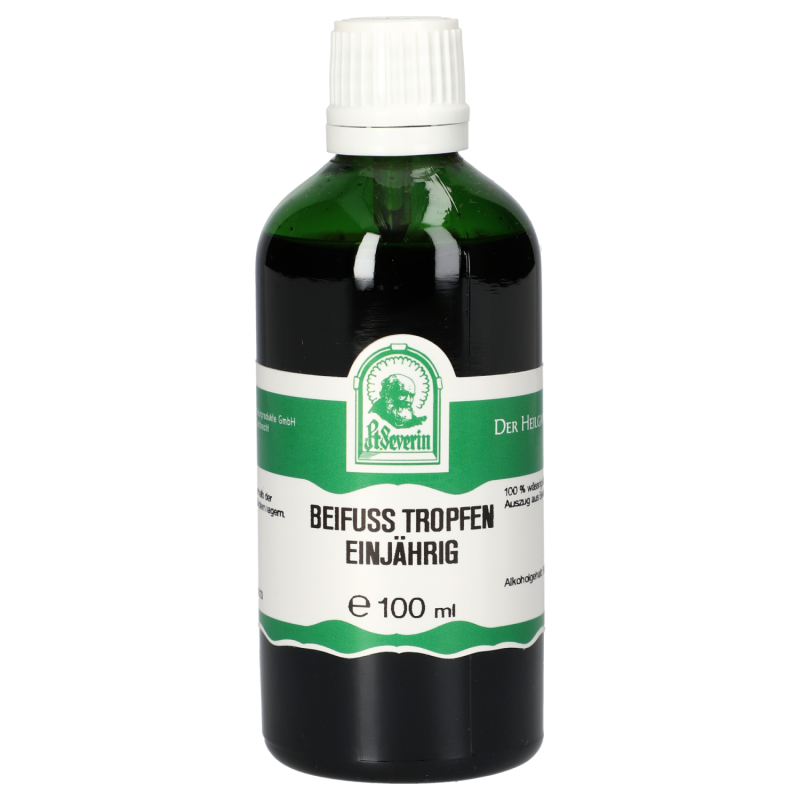 St. Severin Beifuss Tropfen Einjährig