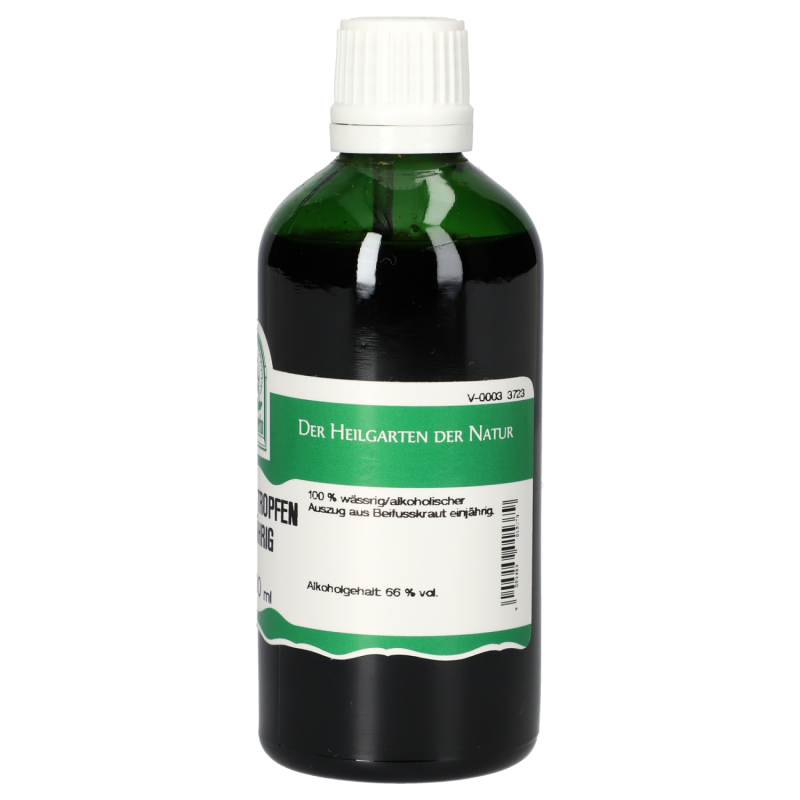 St. Severin Beifuss Tropfen Einjährig