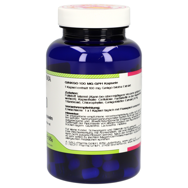 Gingko 100mg Kapseln