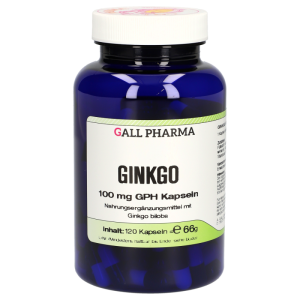 Gingko 100mg Kapseln